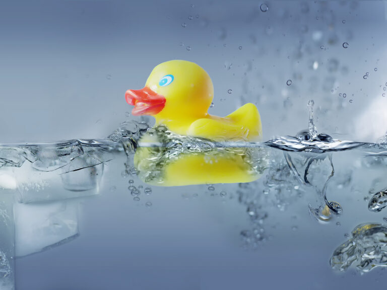 Eine Badeente schwimmt im Wasser.