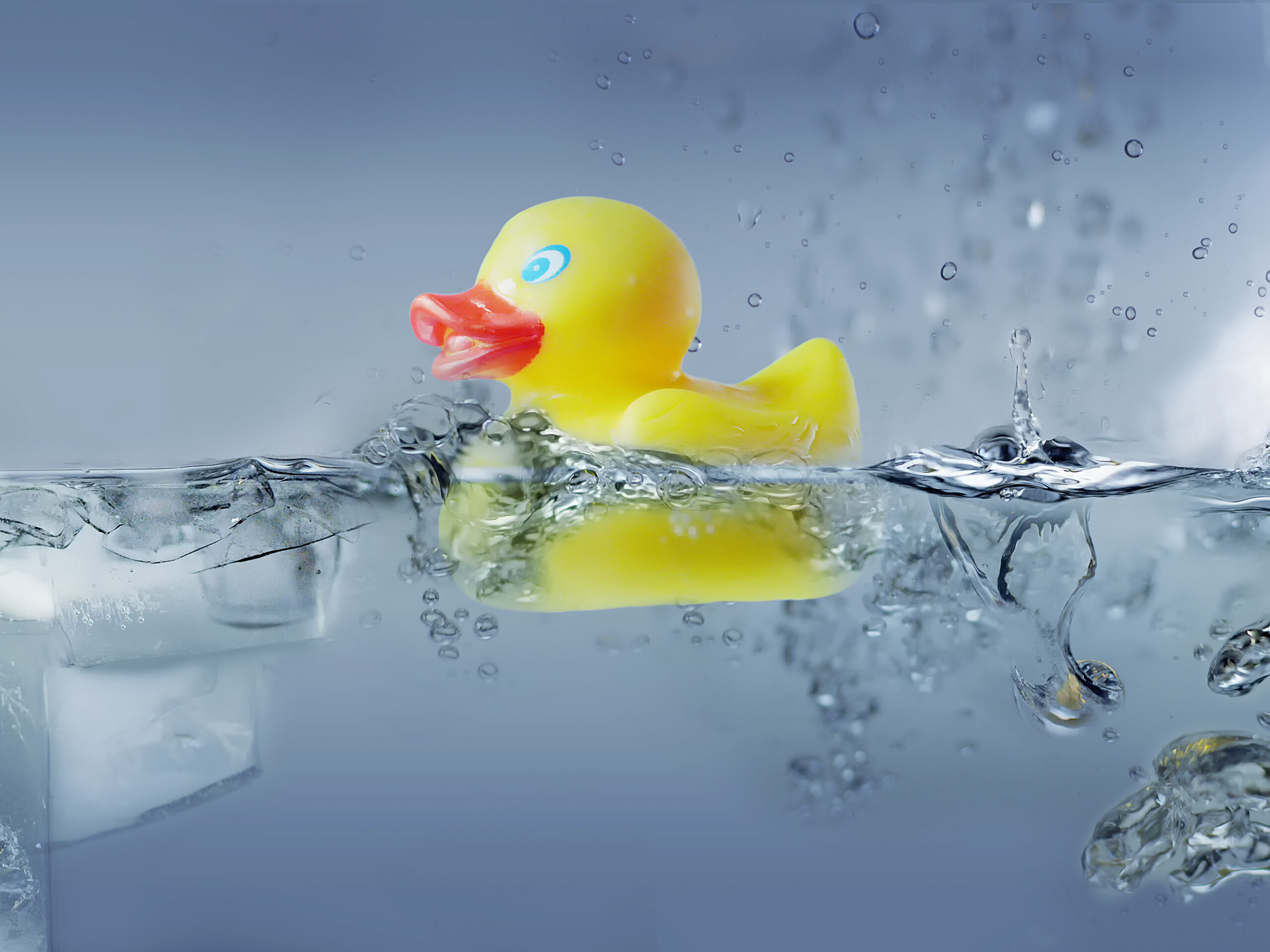 Eine Badeente schwimmt im Wasser.