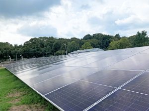 Auf einer Freifläche wurden große Solar-Module aufgestellt und liefern nun sauber produzierten Strom.